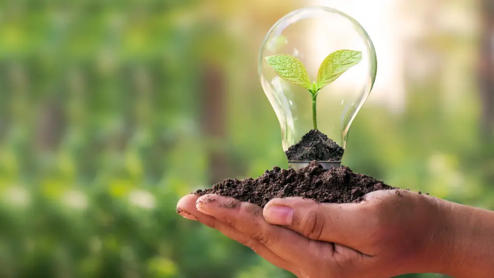 سبک مینیمال مدرن